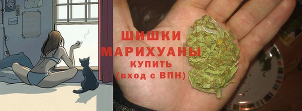 дурь Балахна