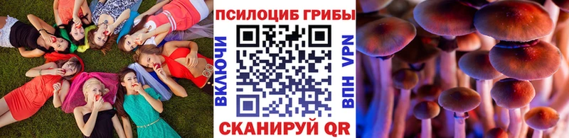 Галлюциногенные грибы Psilocybe  Саратов 
