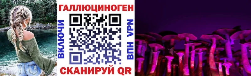 Псилоцибиновые грибы ЛСД Саратов